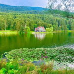Istanbul: Sapanca, Bolu, Safranbolu and Amasra guided tour - What to Expect Throughout