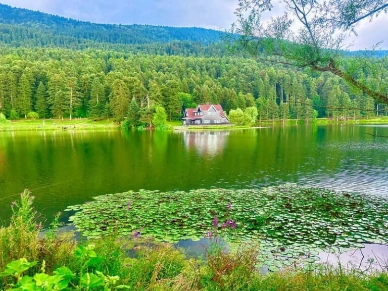 Istanbul: Sapanca, Bolu, Safranbolu and Amasra guided tour - What to Expect Throughout