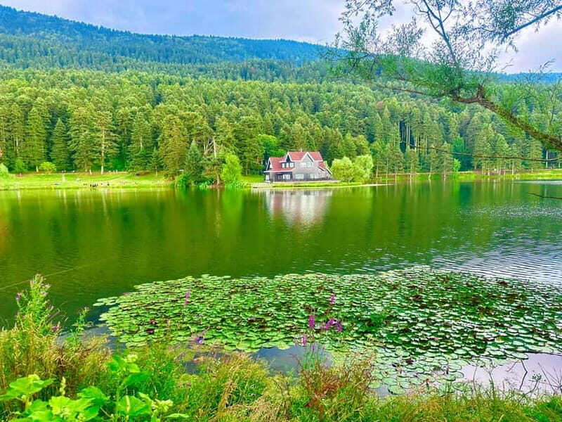 Istanbul: Sapanca, Bolu, Safranbolu and Amasra guided tour - What to Expect Throughout