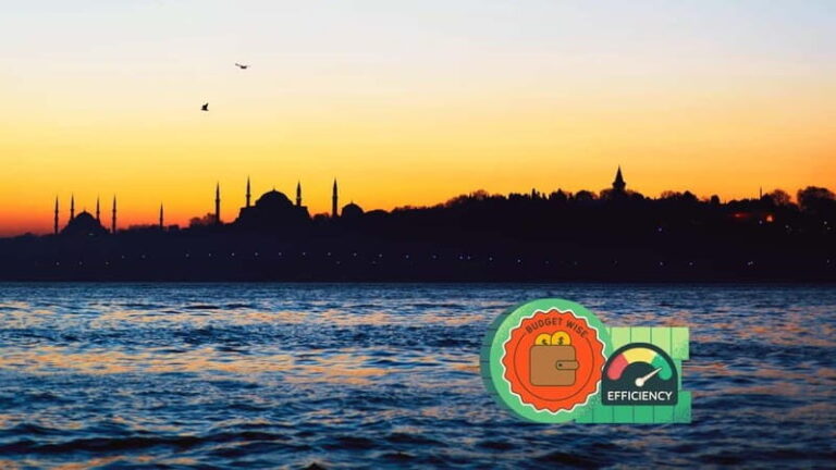 Istanbul Tour on a Budget: No Lines, No Tickets, No Stress - Overview of the Experience