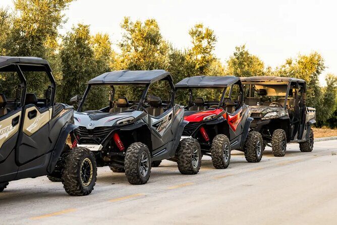 Istra Buggy Tour with a Local Guide - Why You’ll Love This Tour