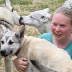 Ivalo: Evening Tea with Huskies and Farm Visit - How the Tour Is Structured