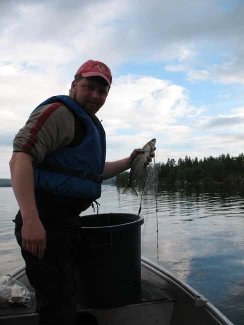 Ivalo: Summer Day/Evening on a Lake in the Wild - Why This Tour Is Worth Considering