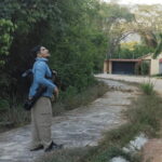 Ixtapa: Bird Watching Tour with Round-Trip Transportation - Why This Tour Is Worth Your Time