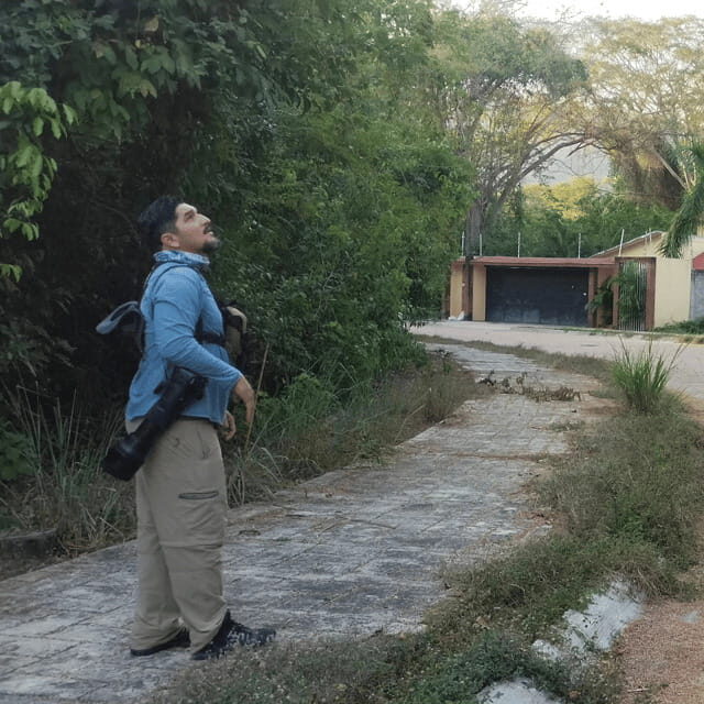 Ixtapa: Bird Watching Tour with Round-Trip Transportation - Why This Tour Is Worth Your Time