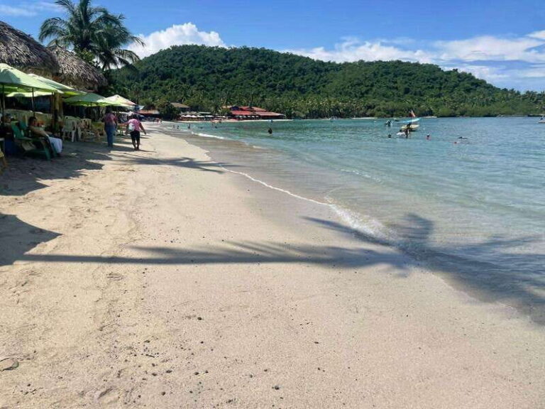 Ixtapa-Zihuatanejo: Island of Ixtapa Day Trip with Lunch - Transportation & Timing  