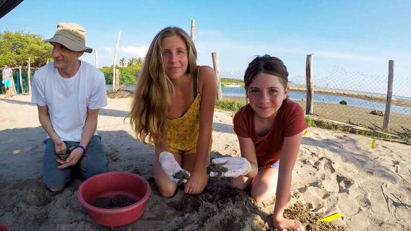 Ixtapa-Zihuatanejo: Turtle Release Tour. - What You Can Expect During the Tour