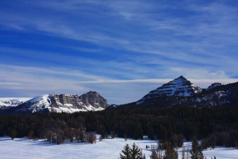 Jackson: Full-Day Snowmobile Rental with Gear & Trailer - Final Thoughts