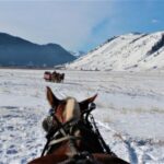 Jackson Hole: National Elk Refuge Sleigh Ride - Final Thoughts: Is It Worth It?