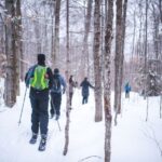 Jacques-Cartier National Park: Skiing Excursion - Pricing and What You Get for $107