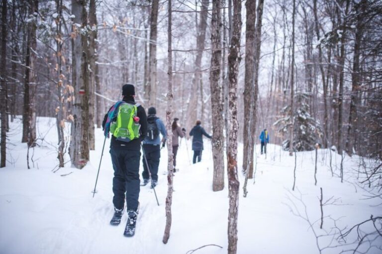 Jacques-Cartier National Park: Skiing Excursion - Pricing and What You Get for $107
