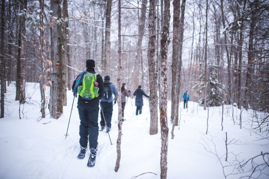 Jacques-Cartier National Park: Skiing Excursion - Pricing and What You Get for $107