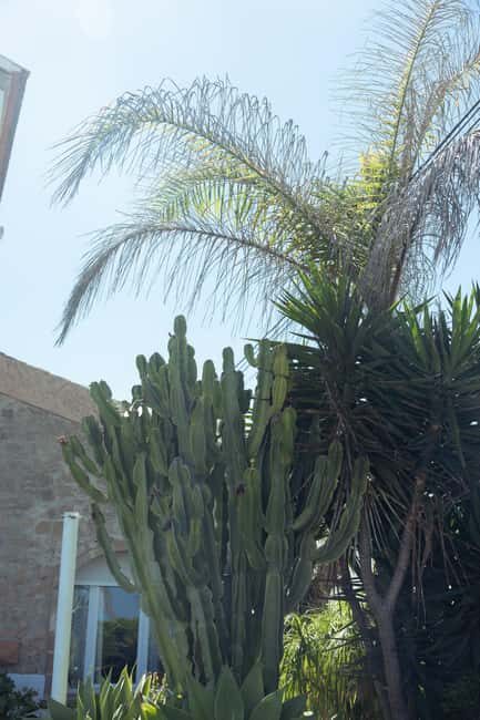 Jávea: 19/09 - Yoga & Brunch with Coffee/Tea, Juice & Cava - The Yoga Session: Details and Insights