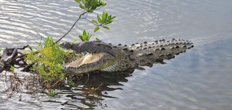 Jeep Tour to Punta Sur Eco Beach Park with Lunch - Introduction to the Experience