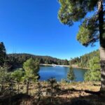 Jilotzingo: Forest Bathing and Temazcal Healing Experience - An In-Depth Look at the Experience