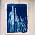 Joshua Tree: Cyanotype Sunprint Workshop - The Value of This Experience