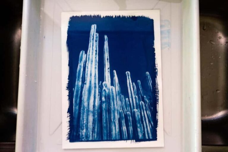 Joshua Tree: Cyanotype Sunprint Workshop - The Value of This Experience