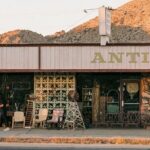 Joshua Tree National Park and Pioneertown Tour - Who Would Love This Tour?