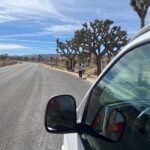 Joshua Tree National Park Tours | Private Tour (Max 10) - What Makes This Tour Stand Out?