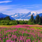 Juneau: Craft Beer and Brewery Tour with Scenic Stops - Final Thoughts