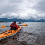 Juneau: Paddle with Whales Kayak Adventure - Wildlife & Scenery
