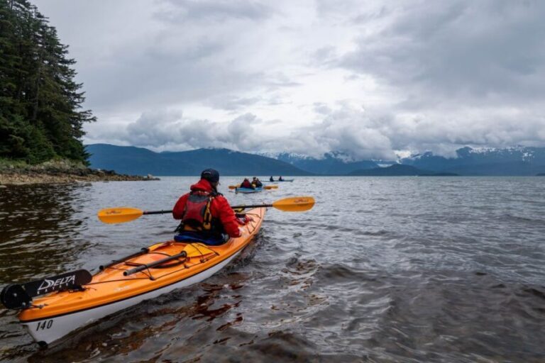 Juneau: Paddle with Whales Kayak Adventure - Wildlife & Scenery