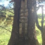 Juneau: Taste of Alaska Tour - What’s Included and What’s Not