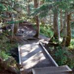 Juneau: Tram, Trails and Ale Tour - Value and Practical Considerations