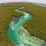 Jungle Adventure Tour! Speed boat and Snorkeling (Single) - Why This Tour Offers Good Value