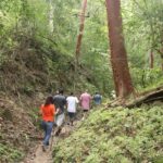 Jungle Hike Tour - What You Can Expect from the Tour