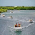 Jungle Tour - Mangroves & Snorkel (Couples) - Snorkeling at Nizuc and Limones Reefs