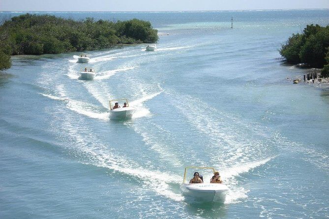 Jungle Tour - Mangroves & Snorkel For Couples - The Speedboat Experience: Navigating the Mangroves