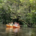 Jupiter: Wild and Scenic Loxahatchee River Kayak Tour - What to Expect: A Step-by-Step Breakdown