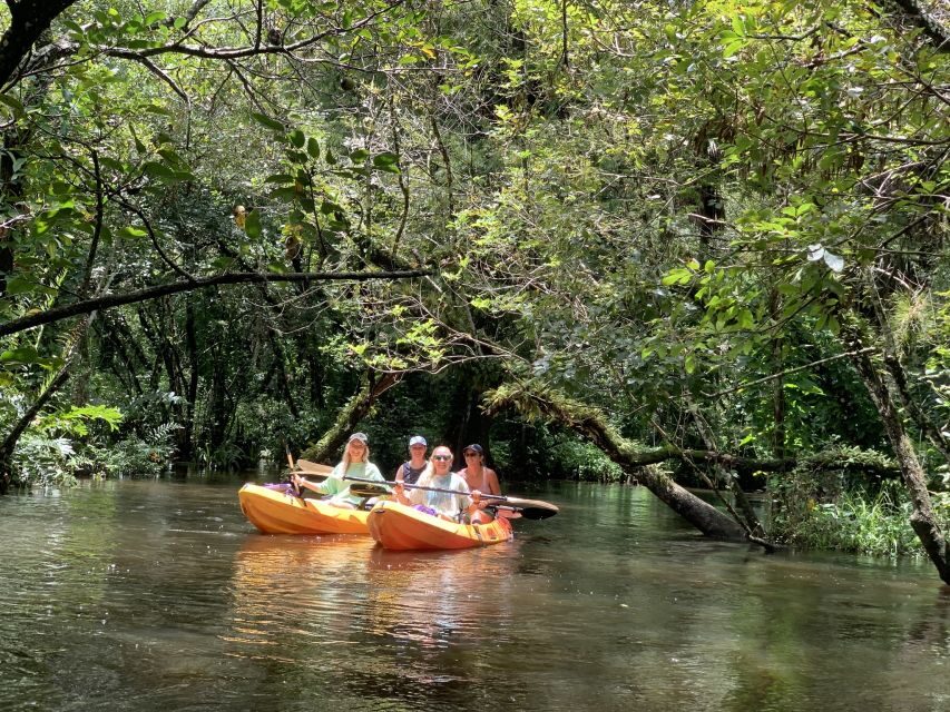 Jupiter: Wild and Scenic Loxahatchee River Kayak Tour - What to Expect: A Step-by-Step Breakdown