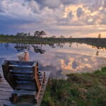 Jurmala: Kemeri National Park Sunset Trip - What Makes the Kemeri Bog Walk Special?