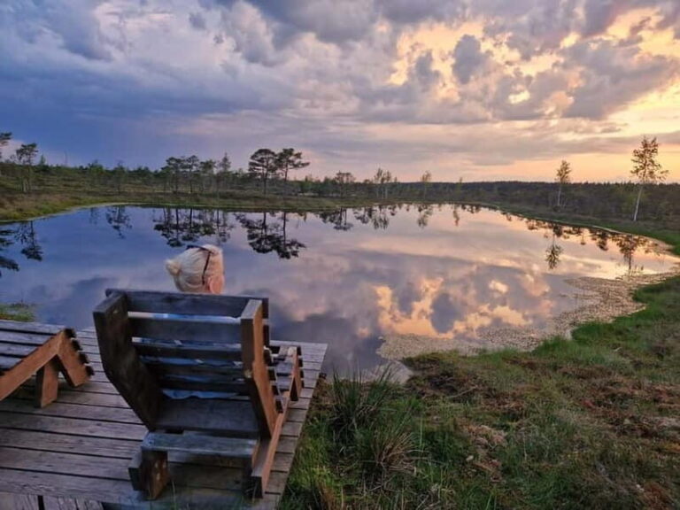 Jurmala: Kemeri National Park Sunset Trip - What Makes the Kemeri Bog Walk Special?