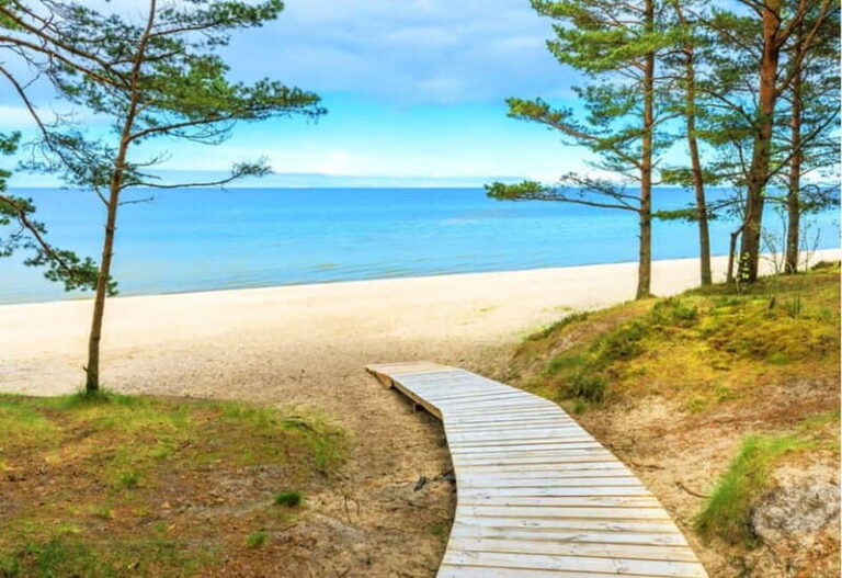 Jurmala,Kuldiga, Ragaciems beach, Kemeri N Park,Food & drink - How the Tour Runs