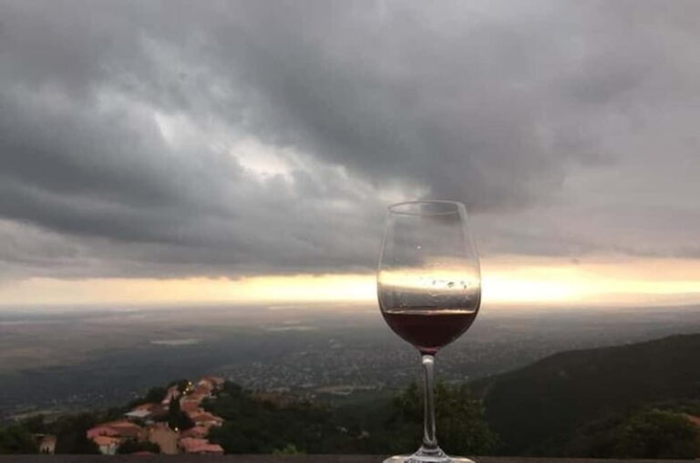 Kahketi: Full-Day Wine Tasting Tour with Lunch - A Deep Dive into the Kakheti Full-Day Wine Tour