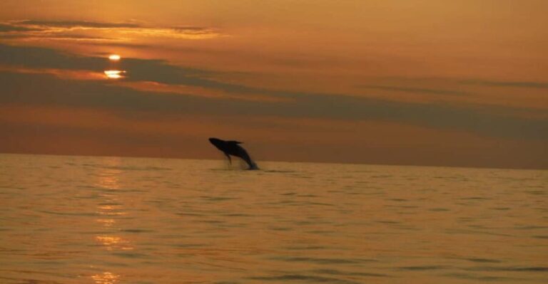 Kailua-Kona: Dolphin Watch & Double-Reef Snorkel Tour - Why This Tour Stands Out