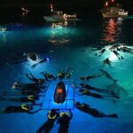 Kailua Kona: Night Manta Ray Adventure on the Big Island - The Itinerary: What You Can Expect