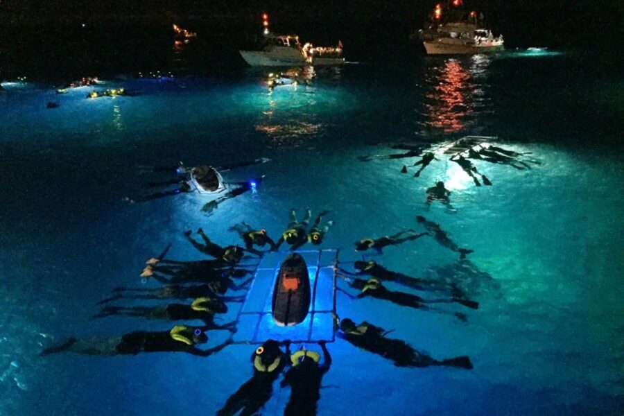 Kailua Kona: Night Manta Ray Adventure on the Big Island - The Itinerary: What You Can Expect