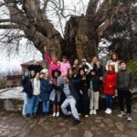 Kakheti: wine region and free wine tasting - A Deep Dive into the Kakheti Tour Experience