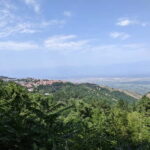 Kakheti: Wine tour from Tbilisi - Enjoy 6 sorts of wine - An In-Depth Look at the Kakheti Wine Tour
