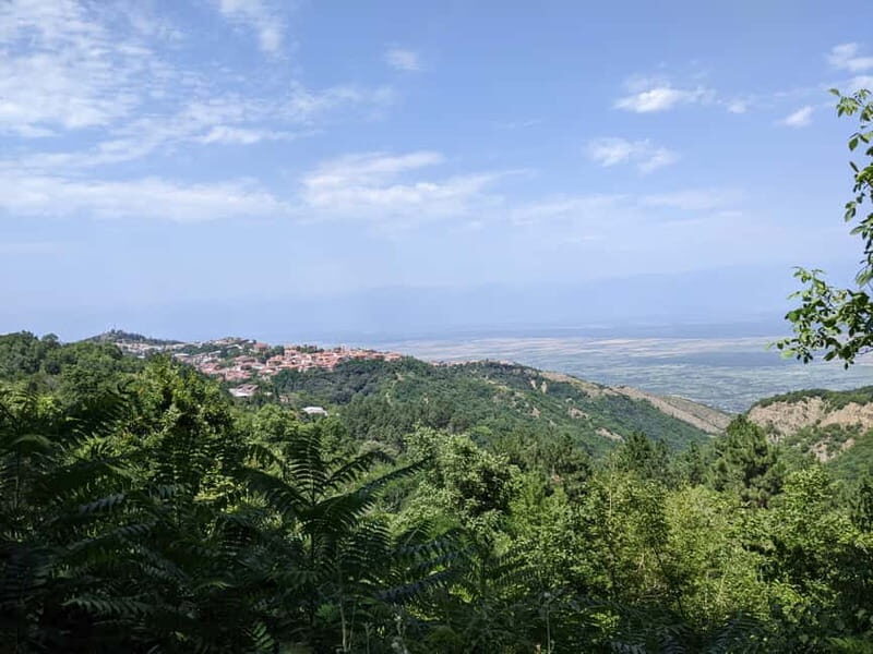 Kakheti: Wine tour from Tbilisi - Enjoy 6 sorts of wine - An In-Depth Look at the Kakheti Wine Tour