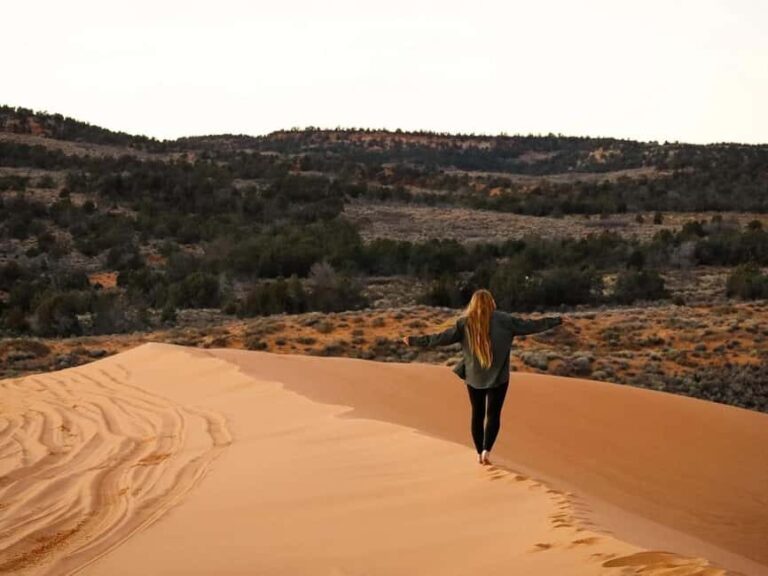 Kanab: Coral Pink Sand Dunes Sunset UTV, Smores and Stars - What To Expect Throughout the Tour