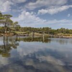 Karavasta:Bird Watching, Tower Views & Lagoon Boat Ride - Practical Details: What to Expect