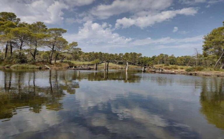 Karavasta:Bird Watching, Tower Views & Lagoon Boat Ride - Practical Details: What to Expect