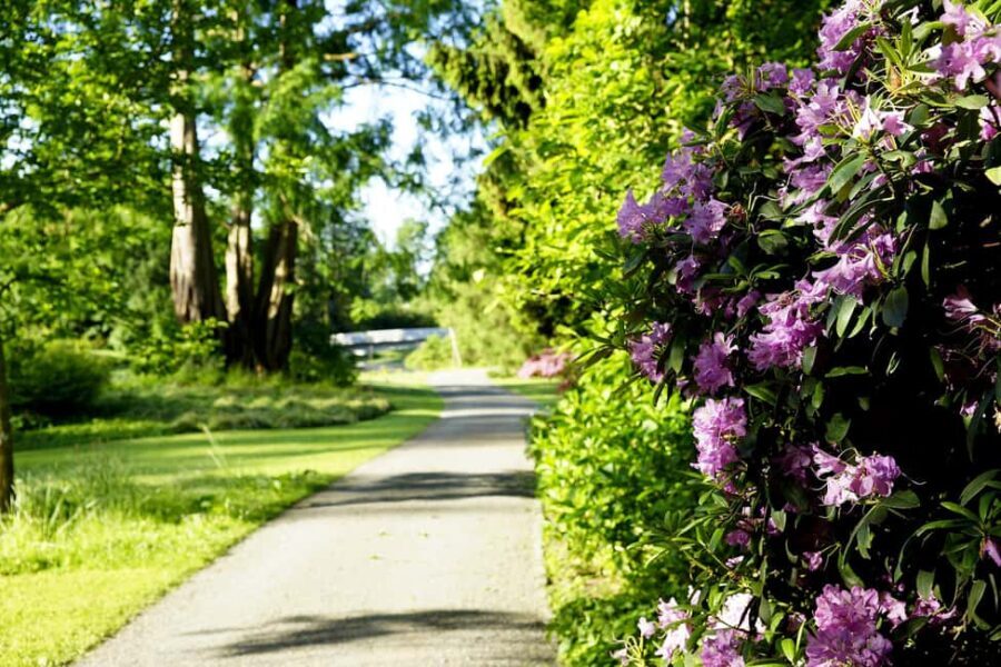 Kassel: Ready for the island?! Karlsaue and Siebenbergen in the scent of spring - Discovering Kassel’s Green Oasis: An In-Depth Review