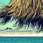 Katakolon: Olympia Highlights Shore Excursion - The Balance of Guided and Free Time