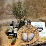 Katela / Kastel Luksic: Organic Olive Oil Tasting Tour - The Experience from a Travelers Perspective